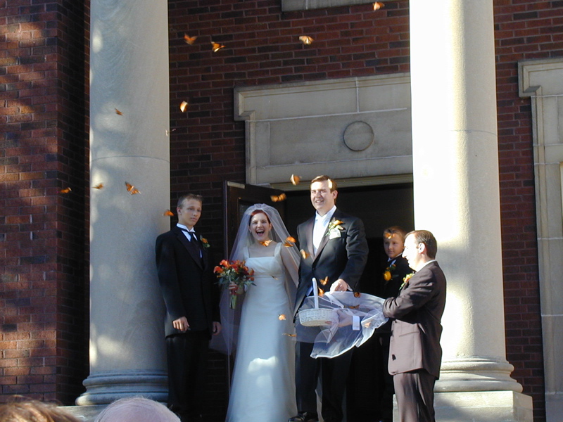 Releasing the butterflies